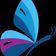 Blue Ridge Hospice