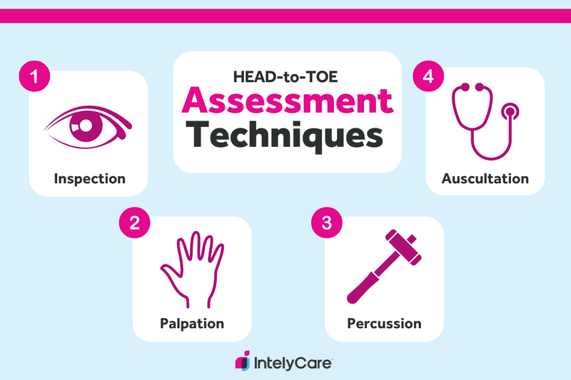 A graphics showing four main types of head-to-toe nursing assessment techniques.