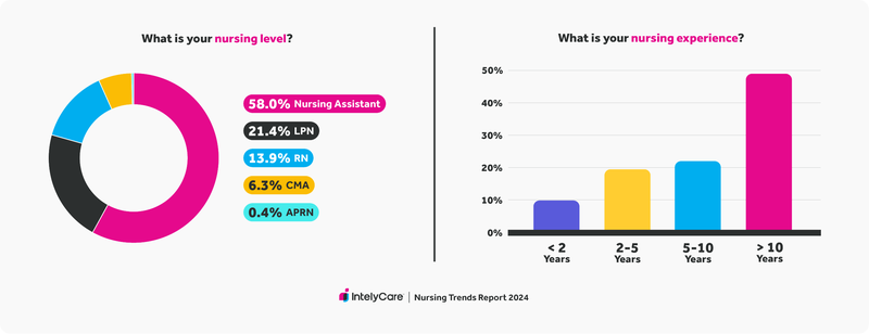 Graph showing nursing level and experience of respondents