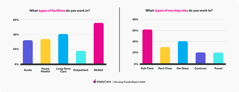 Graph showing types of facilities and types of nursing roles