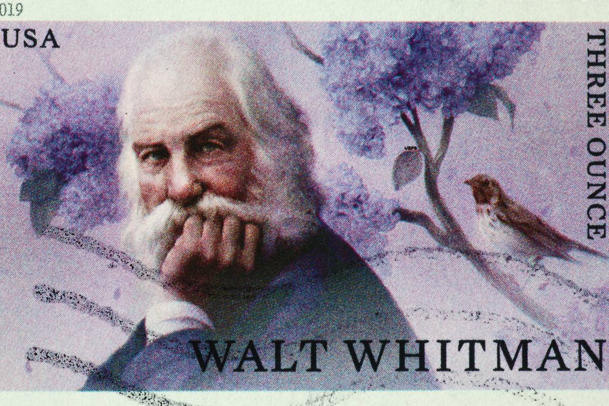 The background of Walt Whitman, nursing history, and gender roles in healthcare.